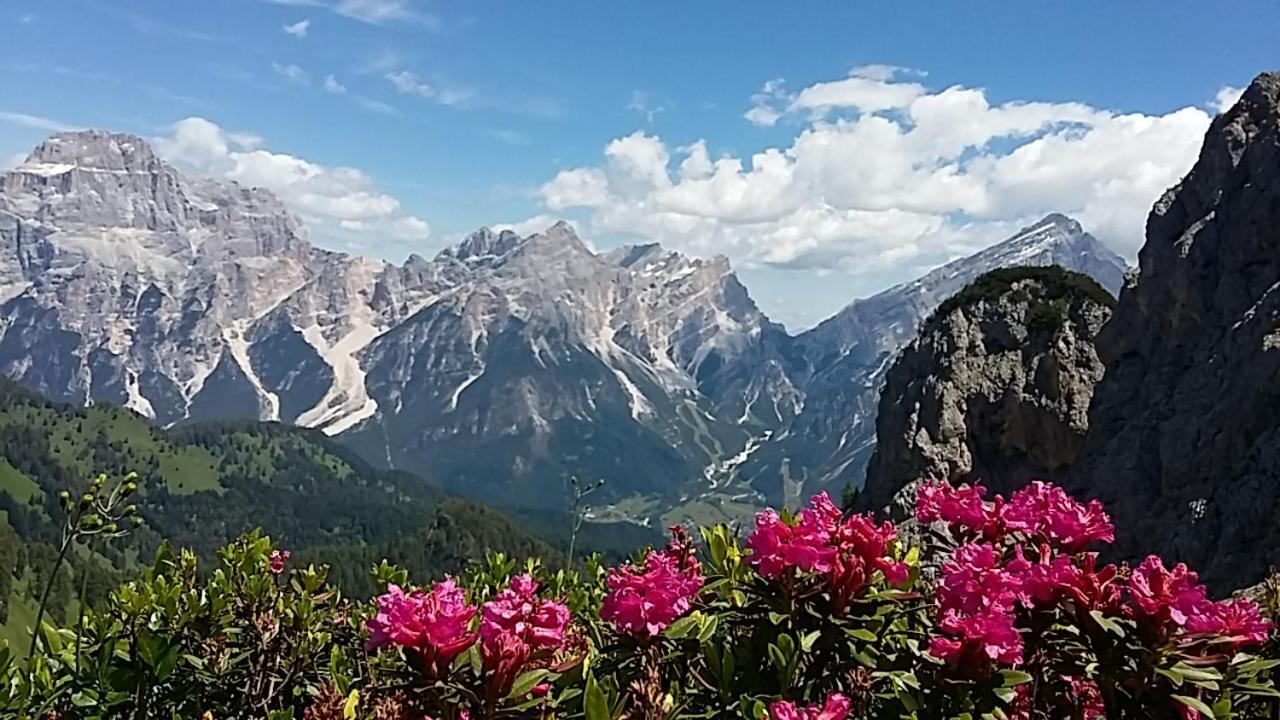 Appartamenti Da Nica E Diego Borca di Cadore Exterior photo